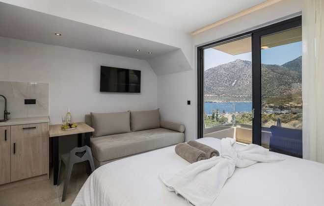 8)Executive Suite Room5-7-PS-Resized